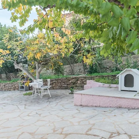 Rosa Sul Mare Σπίτι διακοπών Όλμπια